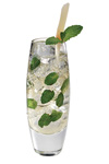 MOJITO